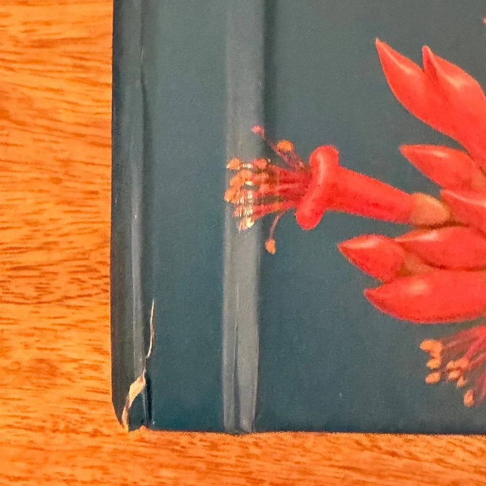 Chronicle Books birdscapes pop